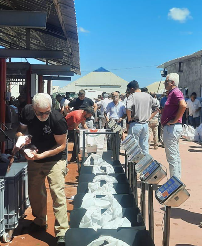 Hisseli Satış | Göçbeyli Doğa Besi Çiftliği